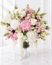 Blush Harmony