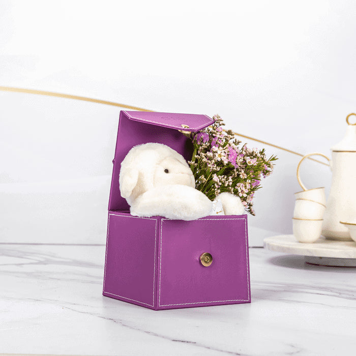Peek – Eidya Box