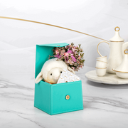 Peek – Eidya Box
